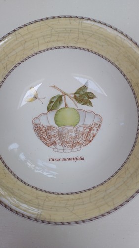 Ciotola media wedgwood - media,