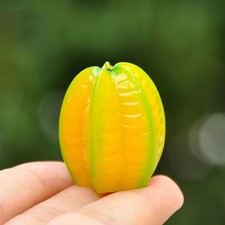  8pcs finto in miniatura