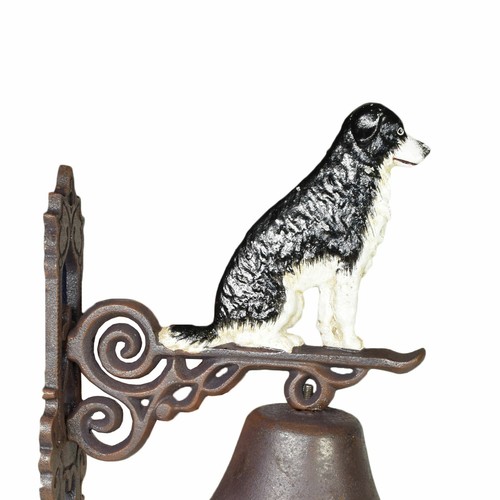 Border collie campana cane - collie,