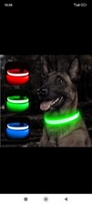 Collare per Cane LED Fluo