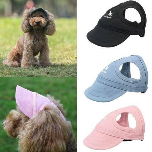 Berretti per cani animali