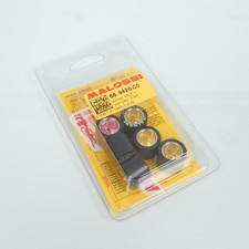 rullo variatore malossi per