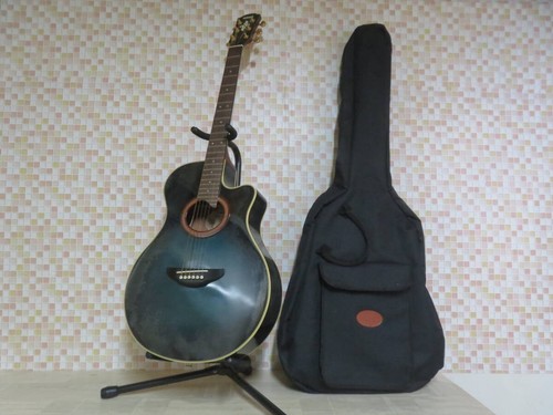 Chitarra acustica elettrica