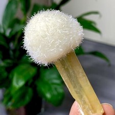 35G tarassaco indiano zeolite quarzo bacchetta cristallo grappolo esemplare minerale