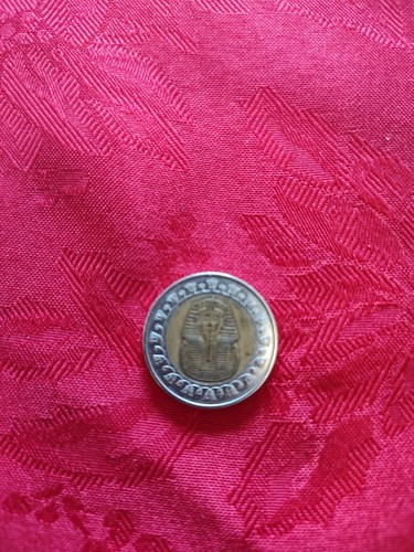 Moneta egiziana - moneta,
