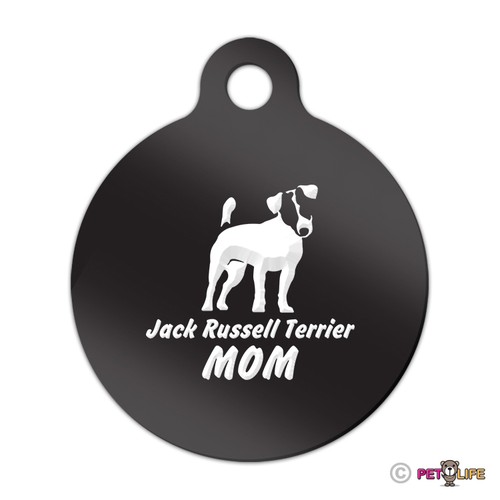 Jack russell terrier mom - jack,