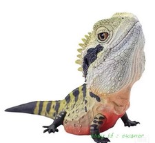 Animal Heavenly Body Lizard
