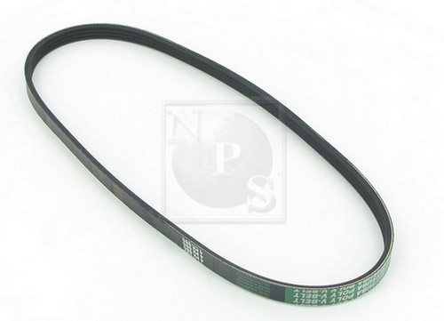 Cinghia poly per bmw z3 - cinghia,