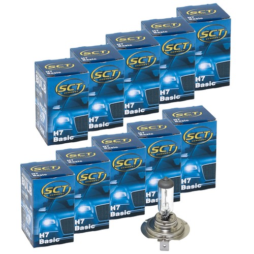 Lampadina 10x basic 12v - basic,