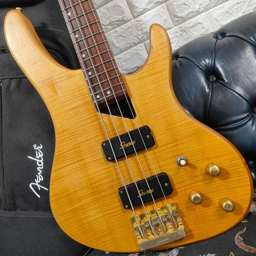 Rara firma washburn - rara,