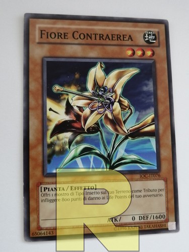 Fiore contraerea - fiore,