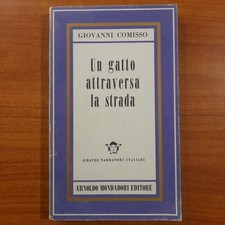 Un gatto attraversa la strada