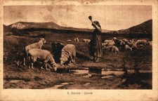 BRUZZI Stefano - Quiete - Pascolo, Pecore - (Arte, Pittura e Quadri) - NV - #031