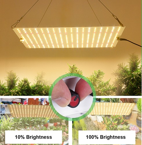 Lampada led grow light - lampada,