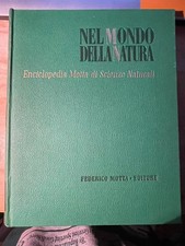 Mineralogia X nel mondo della