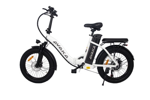 Bici elettrica pieghevole