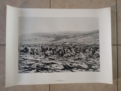 Richard long stones clare - richard,