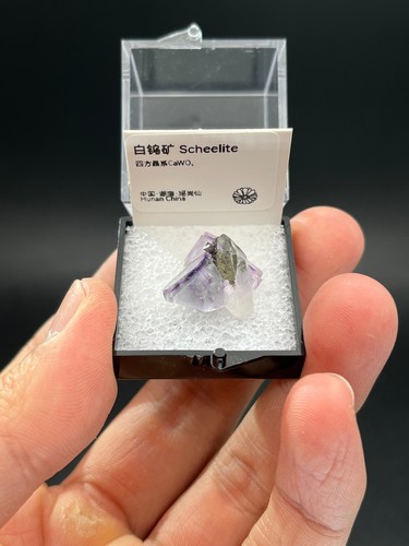 Fluorite quarzo scheelite - fluorite, di