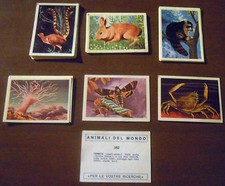 LOTTO 21 FIGURINE ANIMALI DEL MONDO (Edizioni dell'Arte 1969) RARE!
