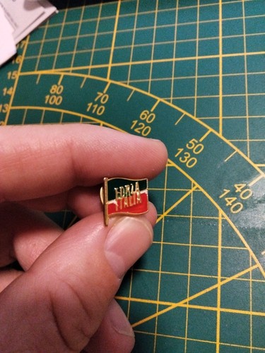 Pin spilla distintivo forza - spilla,