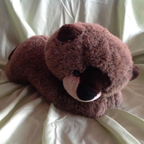 Castoro peluche - in,