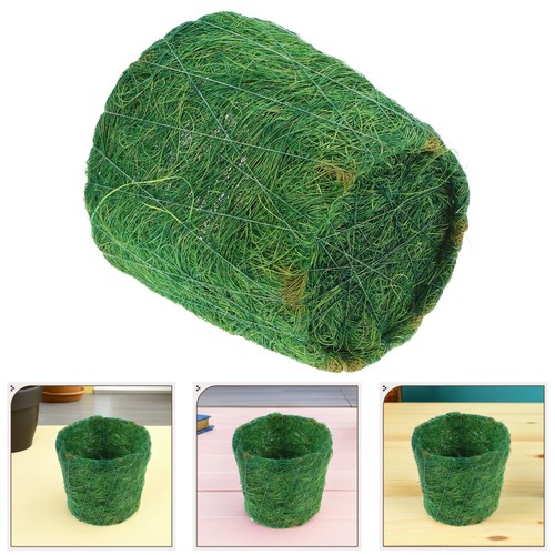 Vaso fiori succulento con - da,
