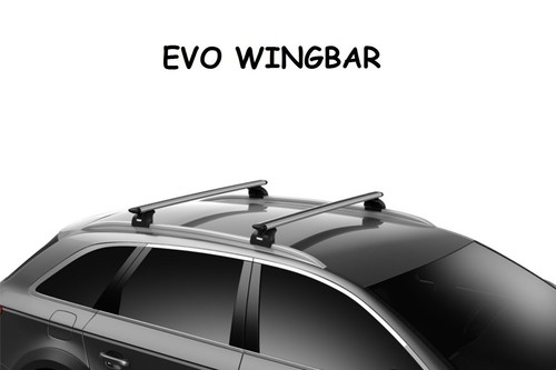 Barre portatutto thule evo - portatutto,