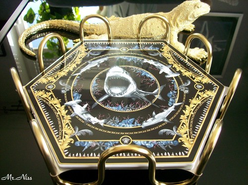 Vassoio rosenthal versace - rosenthal, le
