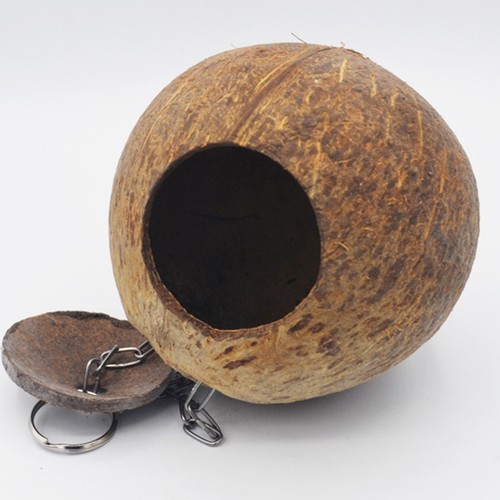 Nido uccelli di - ,