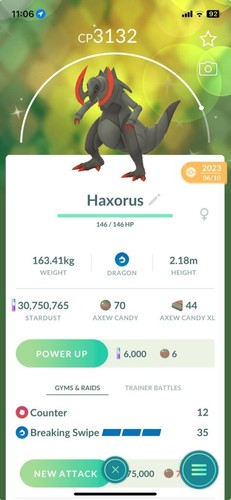 Shiny haxorus - shiny,