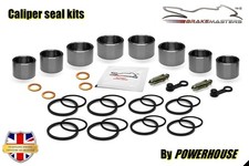 Kit revisione pinza freno