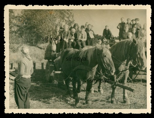 Grünefeld 1954 inserto - grünefeld,