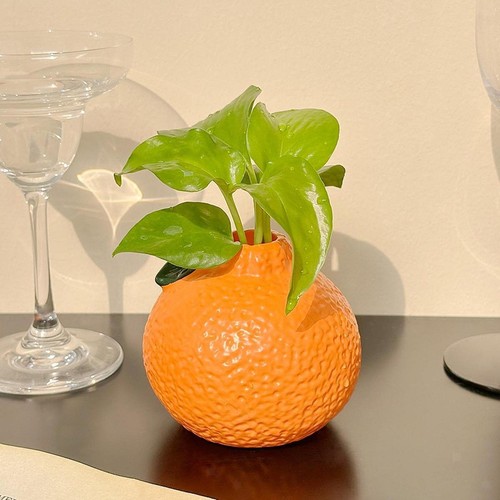 Vaso idroponico per - vaso, con