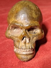 scultura antica. Teschio in
