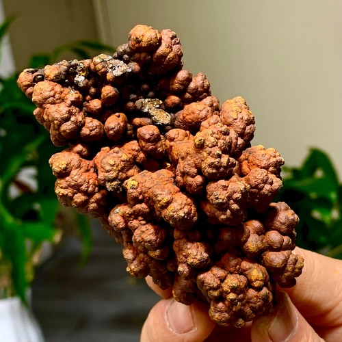 Grappolo cristalli di - di,