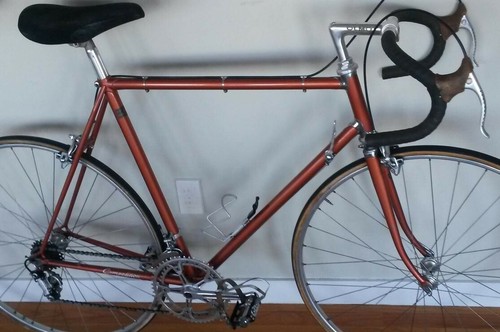 The ultimate eroica bike - ultimate,