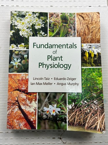 Fundamentals plant - fundamentals, of