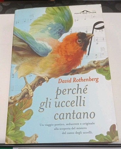Rothenberg perché gli - perchÉ,
