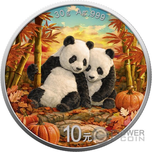 Panda autumn four seasons - autumn,