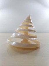 Conchiglia Lavorata Bianca Madreperlacea Conica Collezione Pezzo Unico Rara