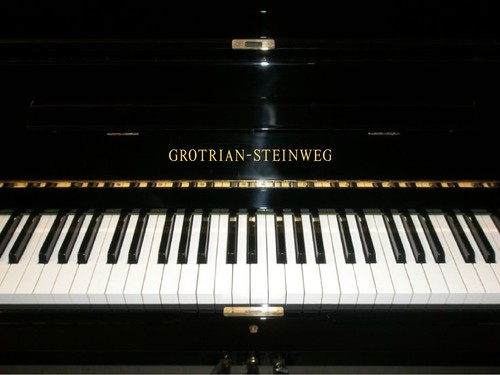 Adesivo grotrian steinweg oro - adesivo,