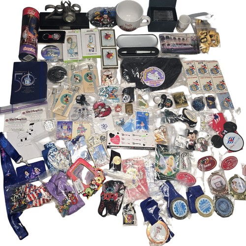 Enorme lotto souvenir parchi