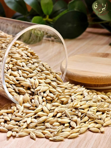 Cereali orzo puri alimenti - d'orzo,