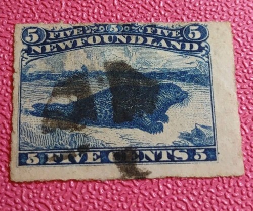 Newfoundland issue 1876harp - newfoundland,,