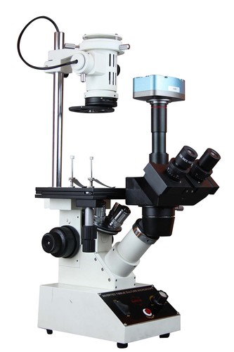 Microscopio invertito per - invertito,