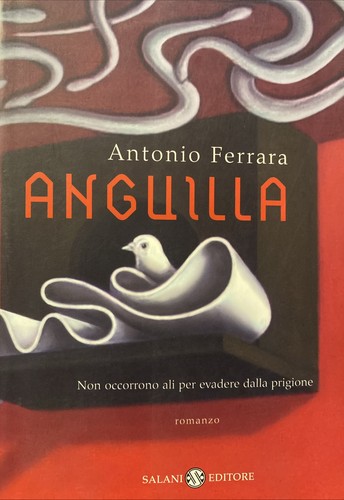 Anguilla ferrara - anguilla,