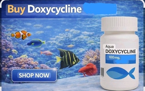 Capsule doxiciclina iclato - doxiciclina,