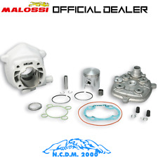 318430 GRUPPO TERMICO MALOSSI