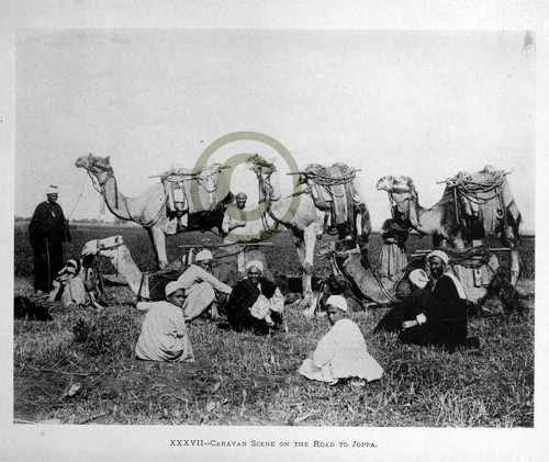 Terra santa scena di caravan - ",