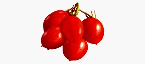 Pomodoro pizzutello piccolo - pizzutello,,